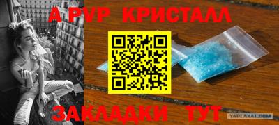 твердый Гусев