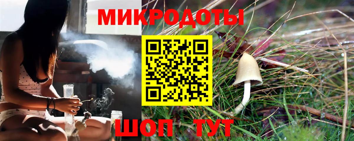 Лангепас  Псилоцибиновые грибы прущие грибы  Вход с VPN  Псилоцибиновые грибы прущие грибы 
